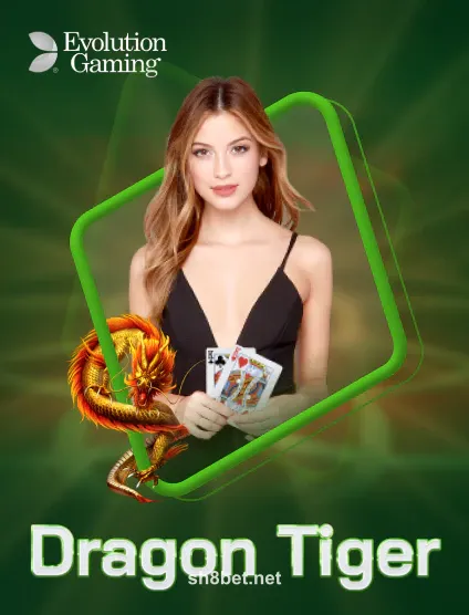 Chơi ngay Evolution Dragon Tiger Portrait tại sh8bet